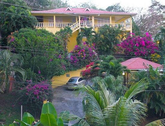 Gallery - Hibiscus Heights