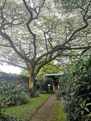 Gallery - St Lucia Wilds