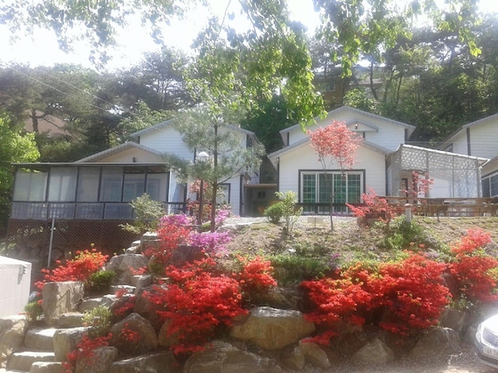Gallery - Hwangto Green Village