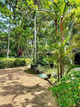Gallery - Traumvilla Bentota