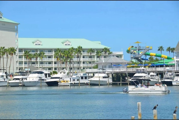 Gallery - New Hotel Collection Harbourside Resort