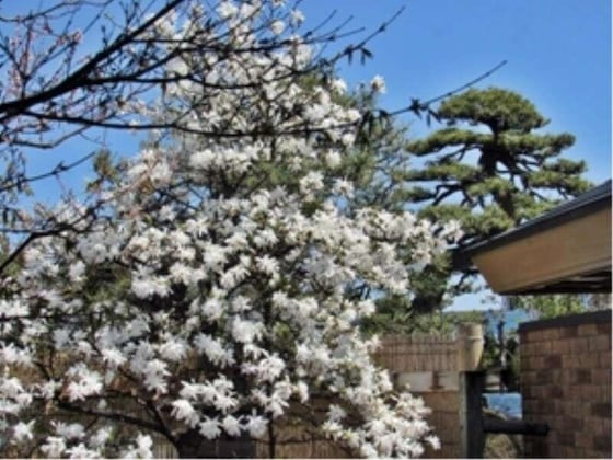 Gallery - Inagaki Onsen Hotel Kagetsutei