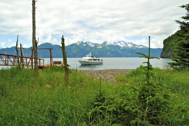 Gallery - Kenai Fjord Wilderness Cabins