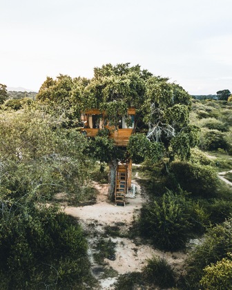 Gallery - Leopard Nest - Glamping In Yala