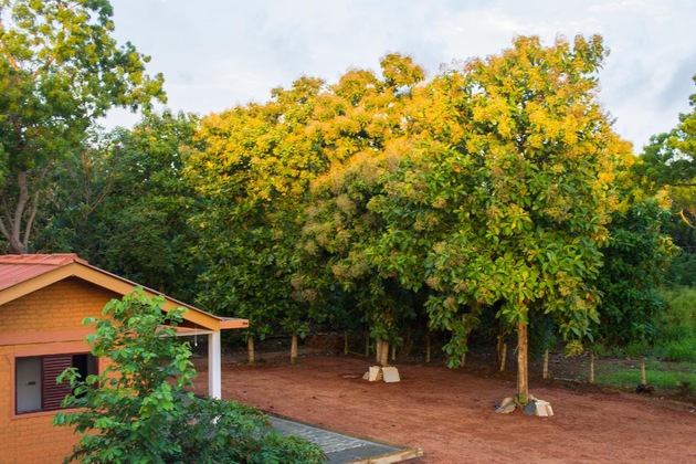Gallery - Hotel 4 U Saliya Garden
