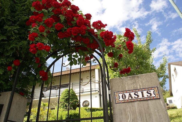 Gallery - Oasis Apartment