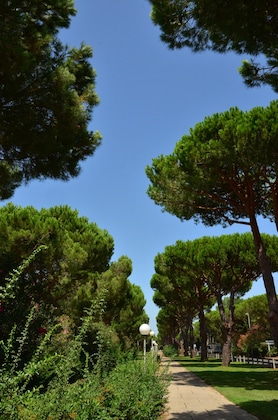 Gallery - Camping Maïana Resort