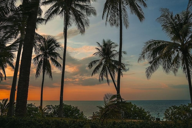 Gallery - Villa Mai Tai