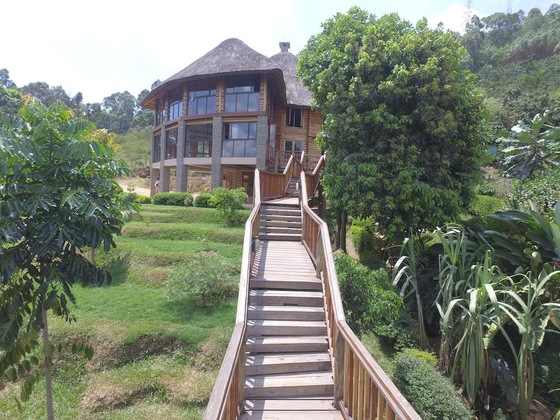 Gallery - Trackers Safari Lodge Bwindi