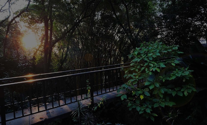 Gallery - Lost Trail Bed And Breakfast