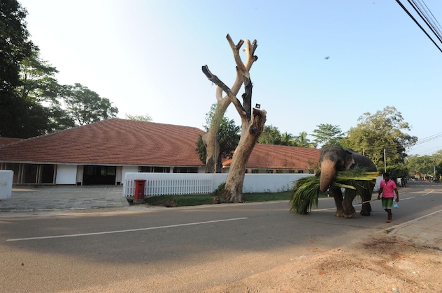 Gallery - Ekho Sigiriya