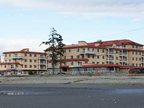 Gallery - Raintree's Sandcastle