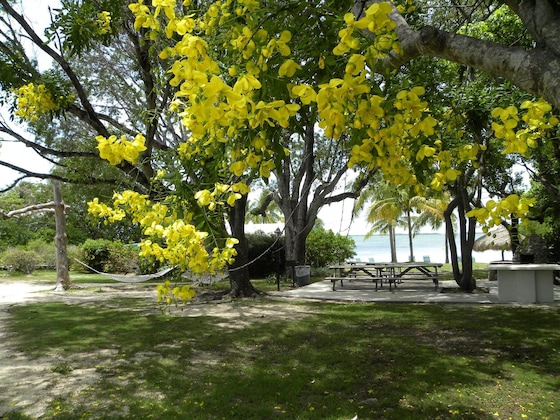 Gallery - Rock Reef Resort