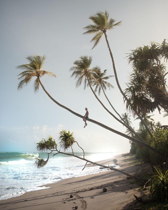 Gallery - Weligama Bay Marriott Resort & Spa