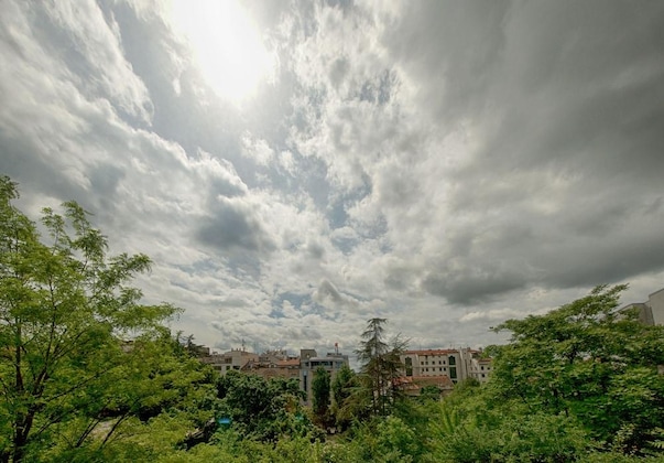 Gallery - Garden40