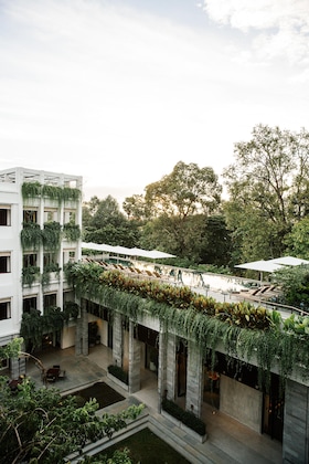 Gallery - Treeline Urban Resort