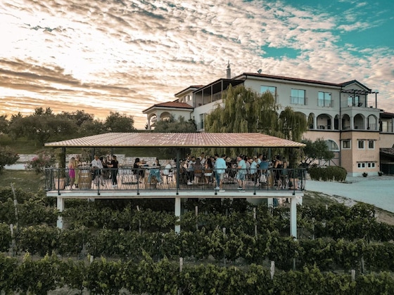 Gallery - Wine Residence Cattunar