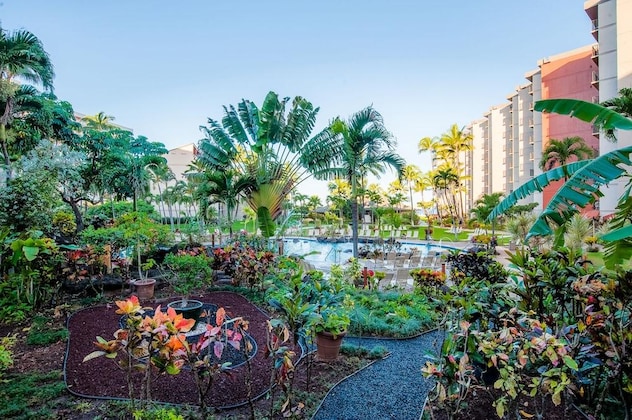 Gallery - Aei At Kaanapali Shores