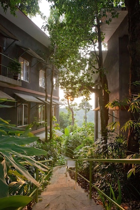 Gallery - Ambong Rainforest Retreat