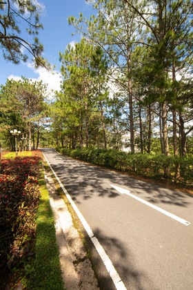 Gallery - Sam Tuyen Lam Resort