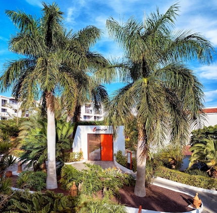 Gallery - Esencia De Fuerteventura Princess