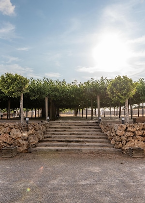 Gallery - Agroturismo Llucasaldent Gran Menorca - Adults Only