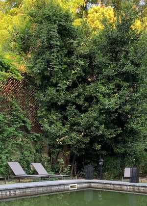 Gallery - Fauno Urban Resort