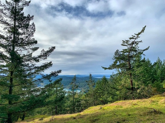 Gallery - Otters Pond Bed & Breakfast