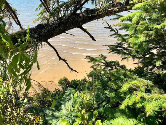 Gallery - Seagate: Starboard~Coos Bay~Premiere Property