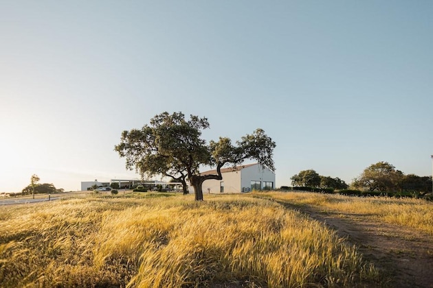 Gallery - Herdade Dos Delgados