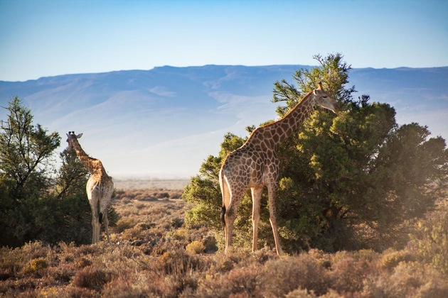 Gallery - Kuganha Luxury Tented Camp