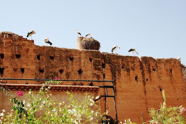 Gallery - Hotel Riad Carina