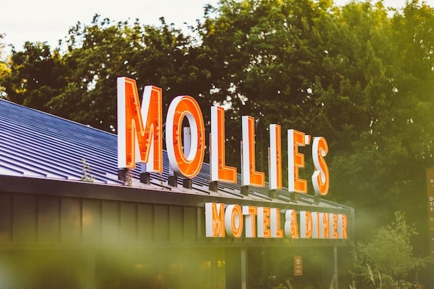 Gallery - Mollie's Oxford
