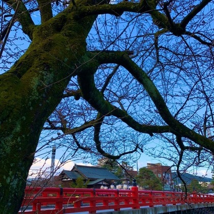 Gallery - Hotel Wood Takayama