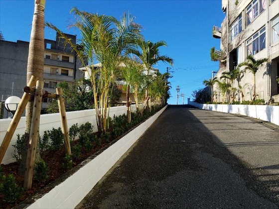 Gallery - Palm Tree Hill