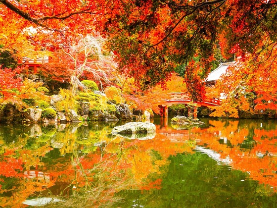 Gallery - Eph Kyoto