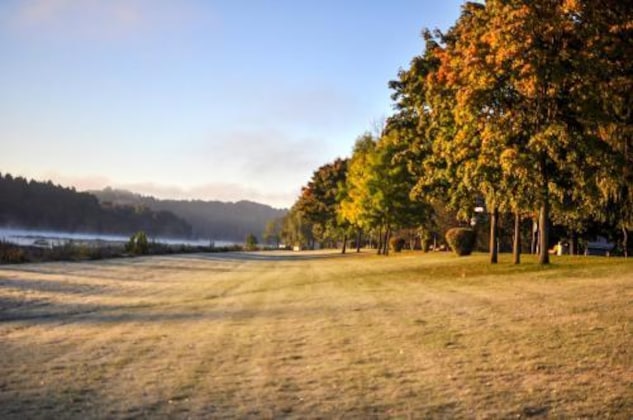 Gallery - Pušynė