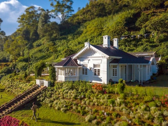 Gallery - The Clovelly Bungalow