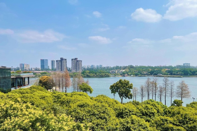 Gallery - Ascott Songshan Lake Dongguan