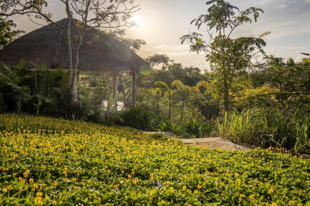Gallery - The Mesare Resort