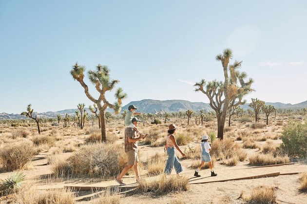 Gallery - Autocamp Joshua Tree