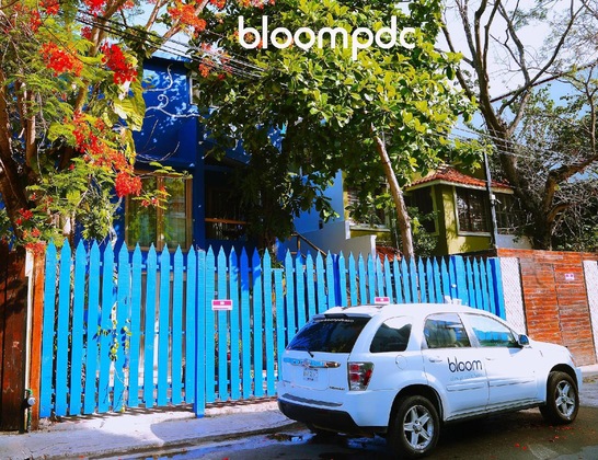 Gallery - Bloom Exclusive Boutique B&B - Adults Only