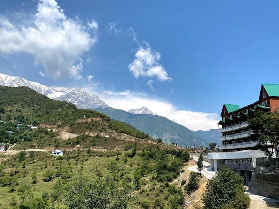 Gallery - Justa Birding, Dharamshala