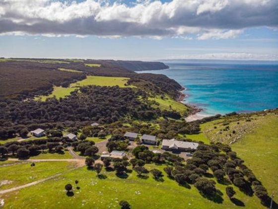 Gallery - Sea Dragon Kangaroo Island