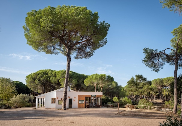 Gallery - Huttopia Parque de Doñana