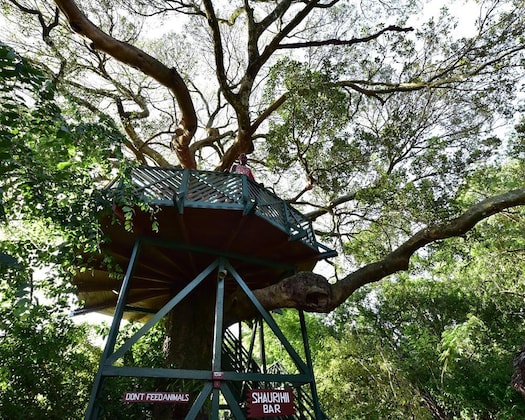 Gallery - Fig Tree Camp Maasai Mara