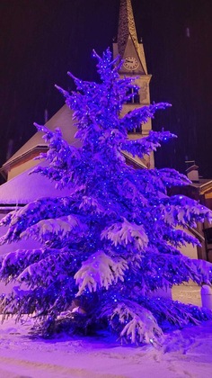 Gallery - Hotel Tea - Dolomiti