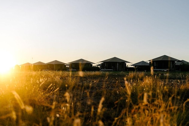Gallery - Mitchell Grass Retreat