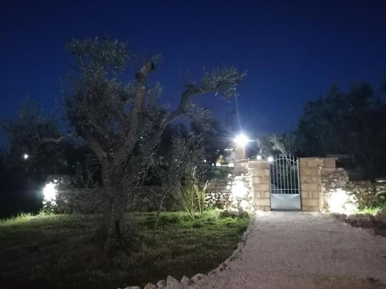 Gallery - Tenuta San Lorenzo