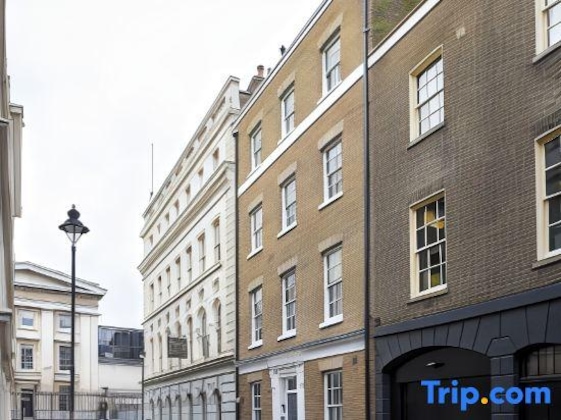 Gallery - Bloomsbury Apartments By Viridian Apartments
